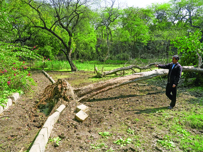 Earthquake in Delhi causes panic and tremors