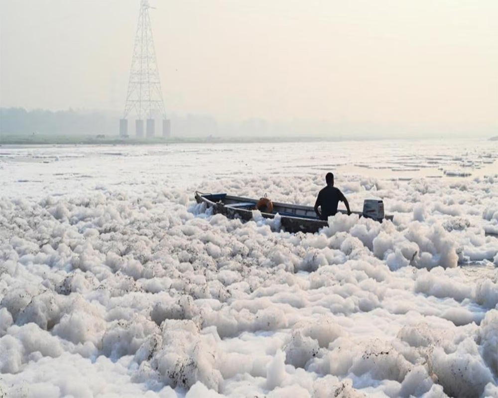 EC seeks factual report from Haryana on high ammonia levels in water supplied to Delhi