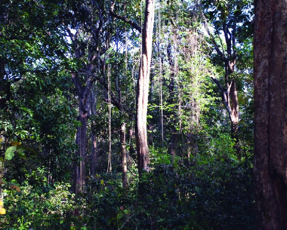 Encroachment crisis threatens ecology, food and water security