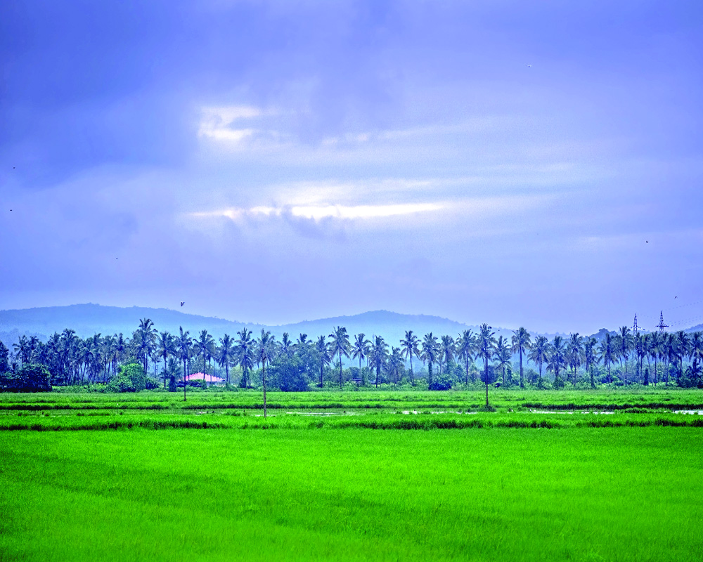 Explore Goa Like Never Before!