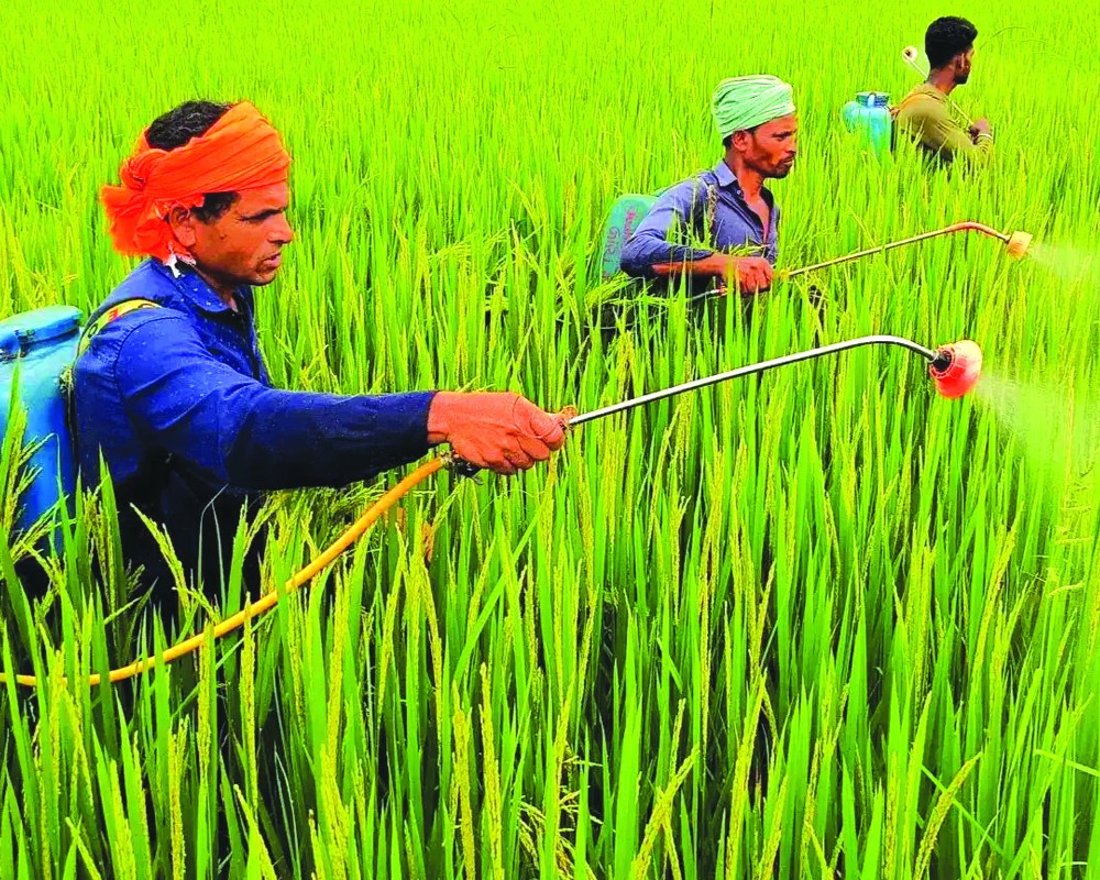 Fertiliser import likely to jump 41% in FY26: FAI