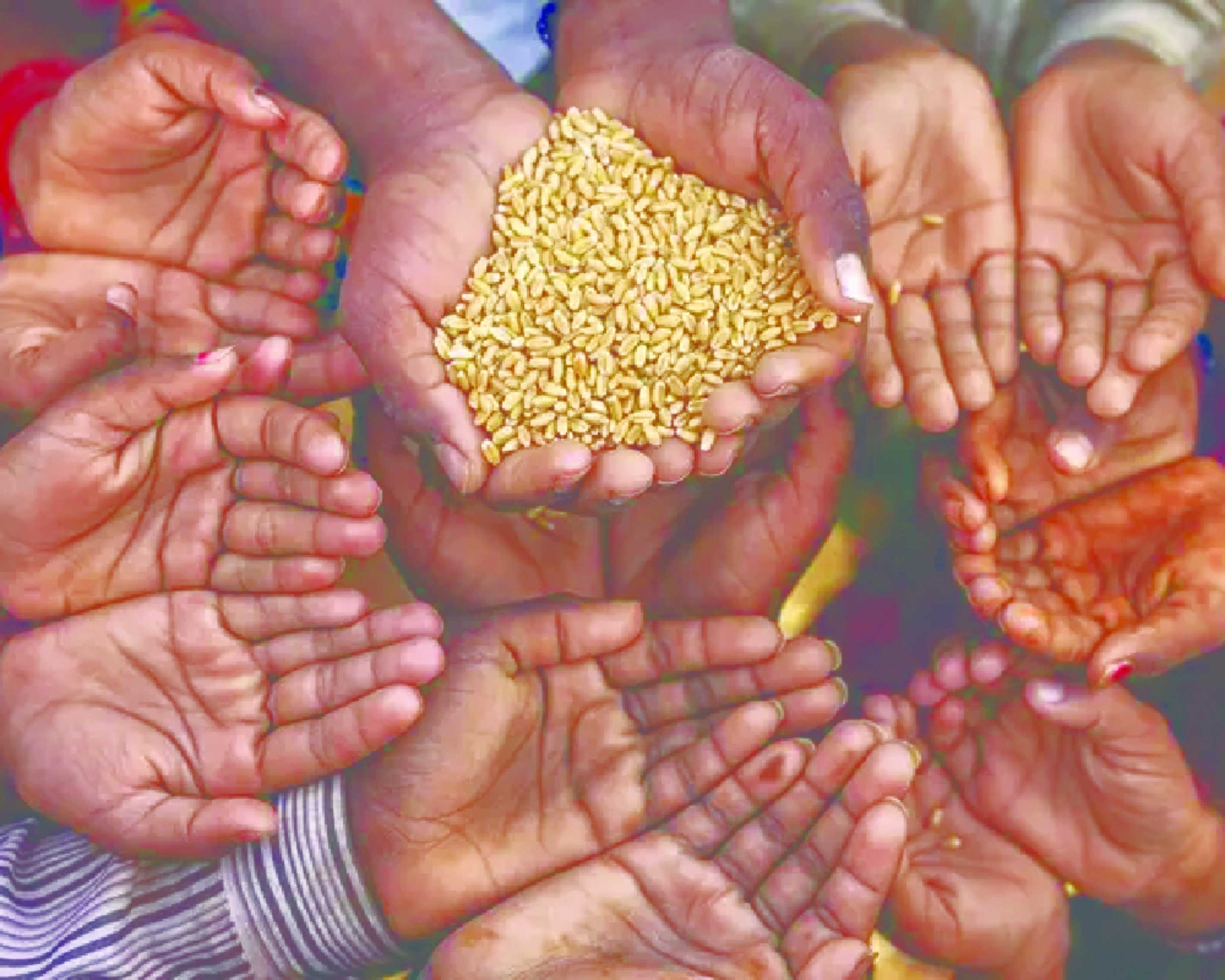 Food Ministry-FCI pact sets target for procurement