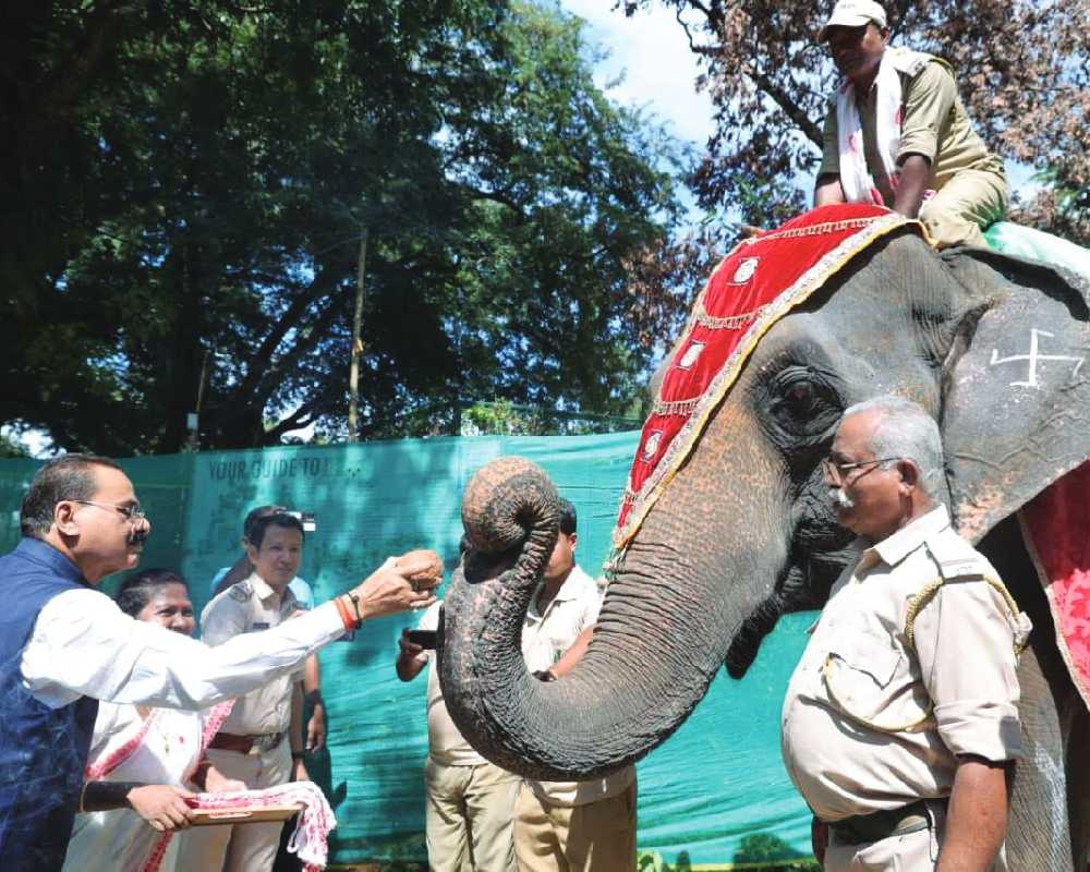 Forest Minister inaugurates wildlife week celebrations