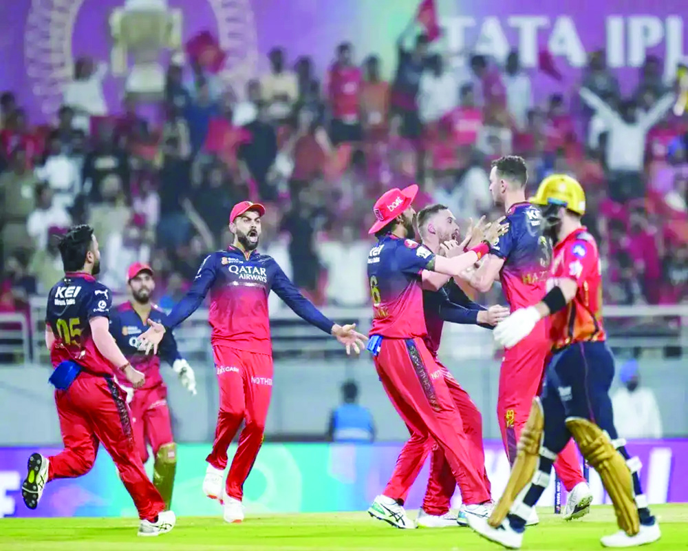 How Mo Bobat, Flower, Karthik changed RCBâ€™s auction dynamics to lead team to IPL final