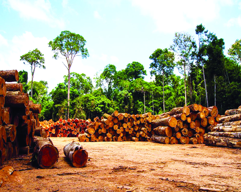 Humanism and the world