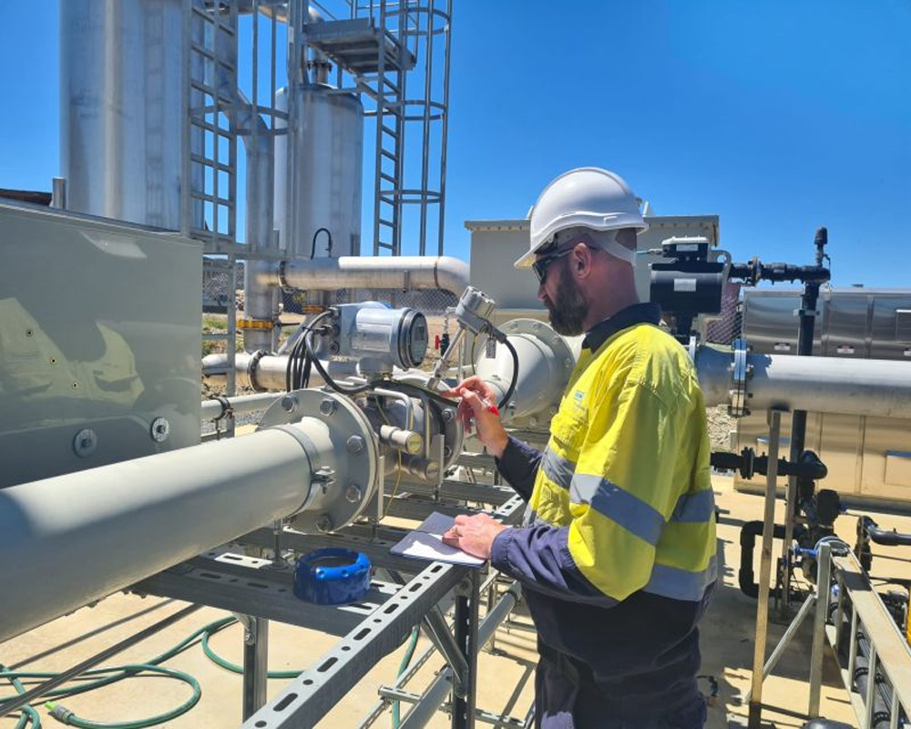 Increase in MSME financing right step to boost biogas industry: IBA