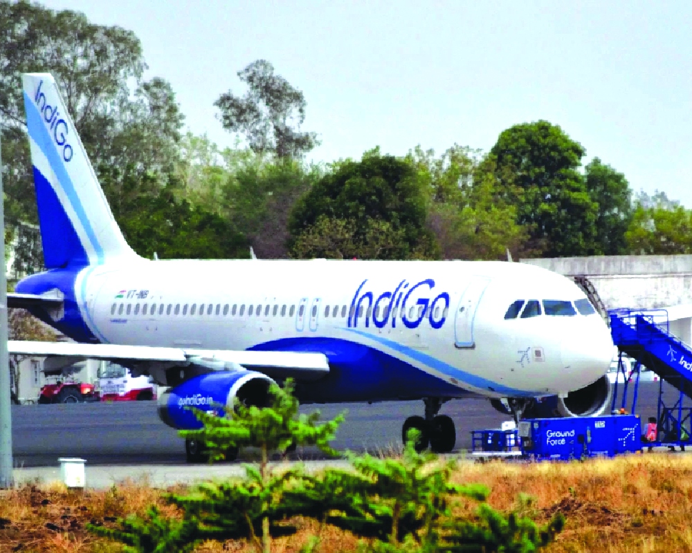 IndiGo flies into red on forex headwinds