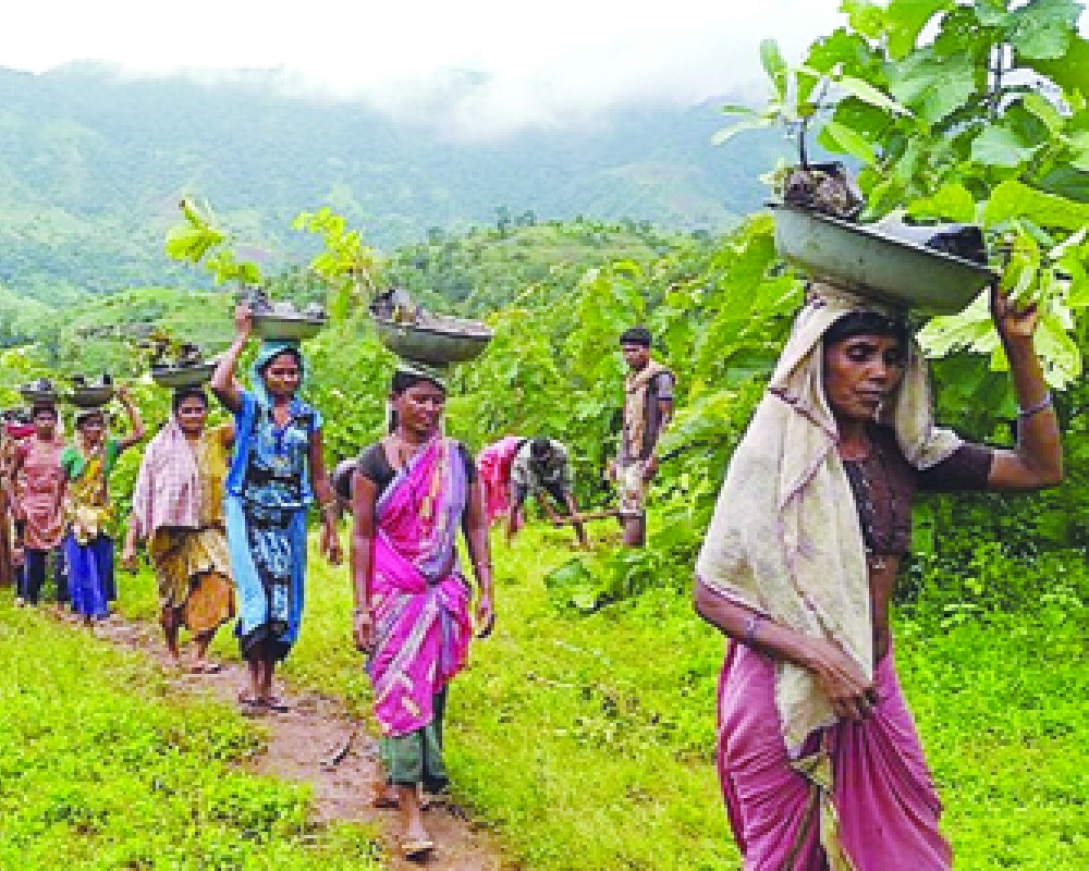 Misuse of FRA: Undermining forest rights framework