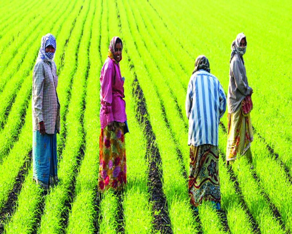Natural farming: Indiaâ€™s path to sustainable agriculture and food security