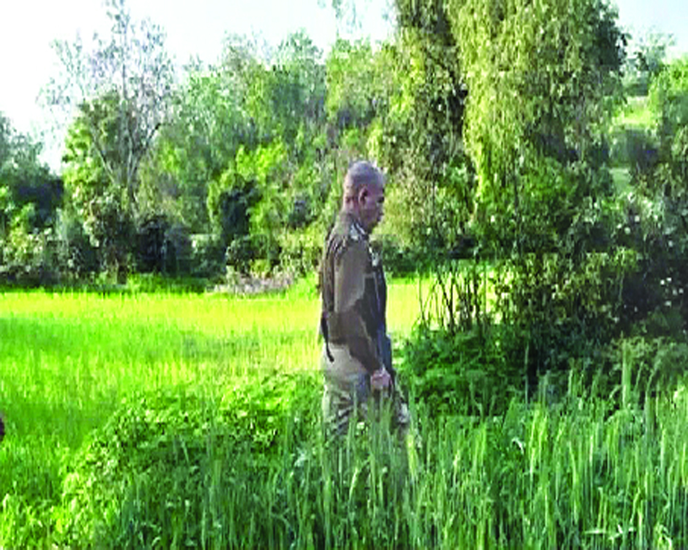 No lesson learnt: Is DGP violating standard operating procedures in J and K?