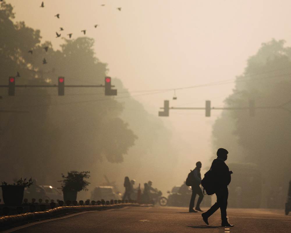 Pollution nearly doubles in November: CREA