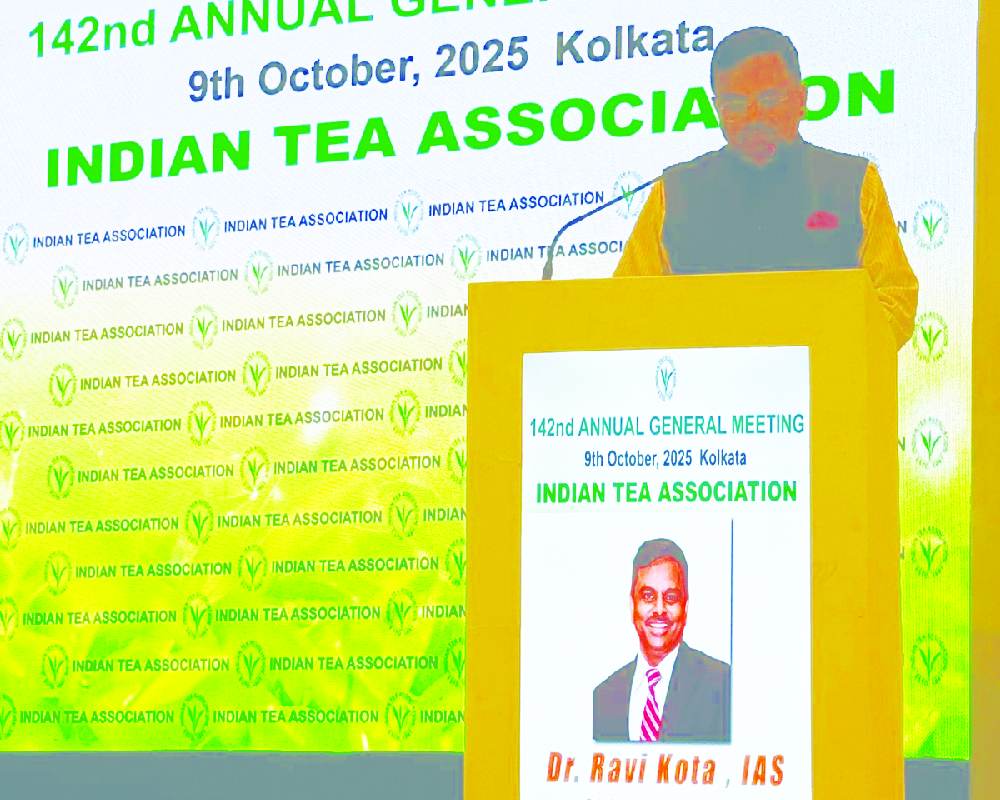 Power discom ropes in 100 women volunteers to serve as solar energy ambassadors