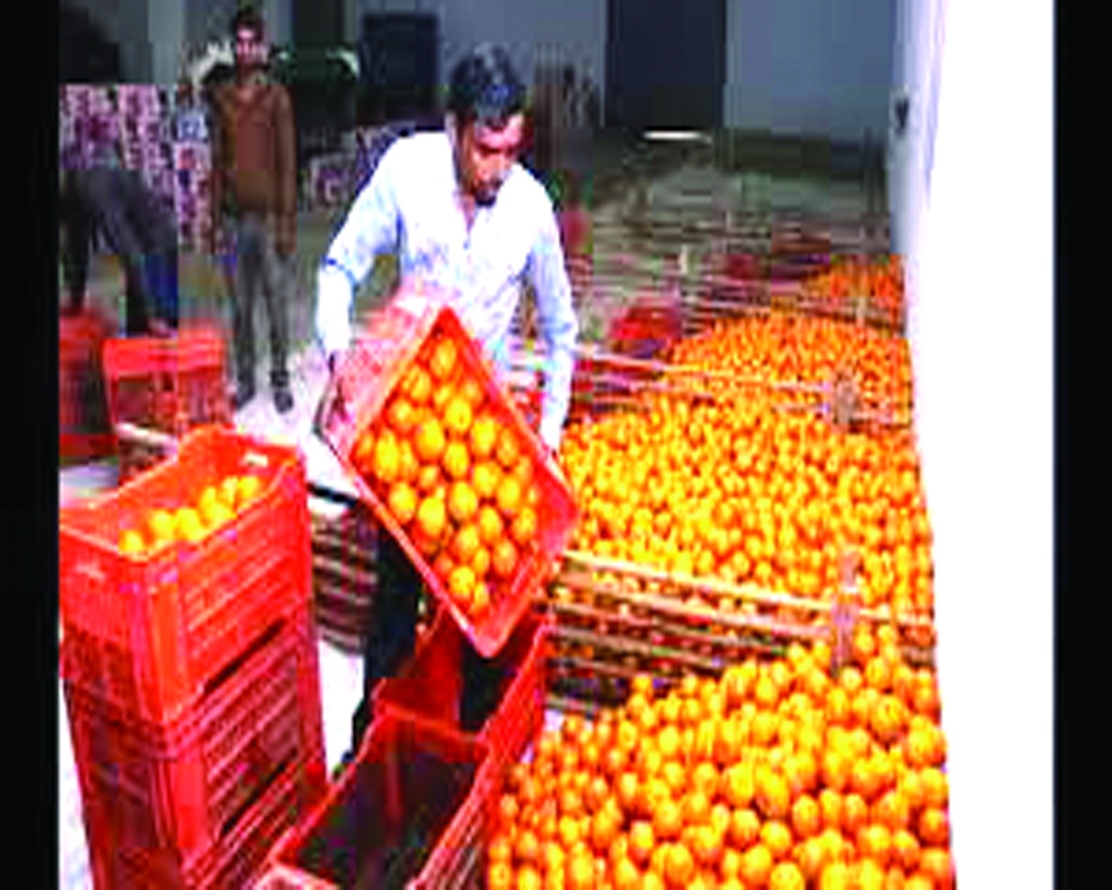 Punjab industries struggle under inverted duty pressure