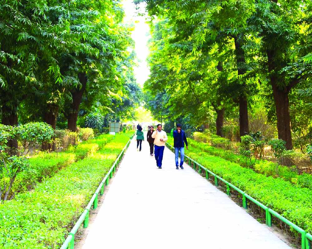 Pure air is basic human right, equals right to life