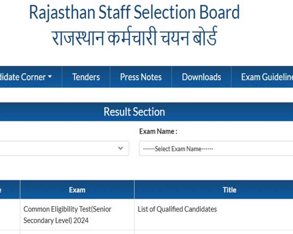 RSMSSB CET 12th Level Result 2024 Declared â€“ Check and Download at rssb.rajasthan.gov.in