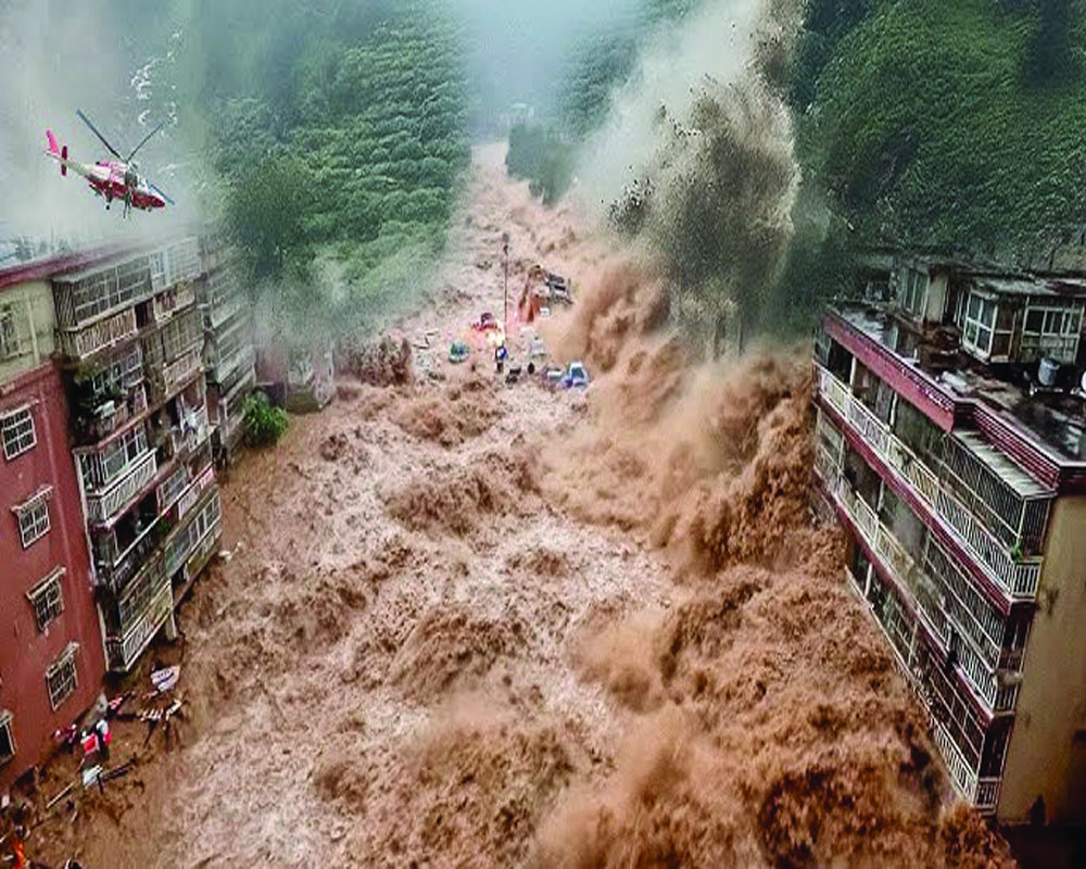 Strengthening India’s green shield for climate and disaster resilience