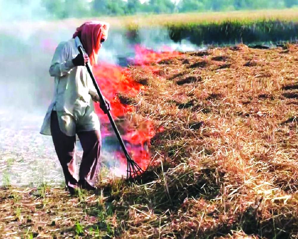 Stubble burning worsening Delhi-NCR air quality levels, SC told