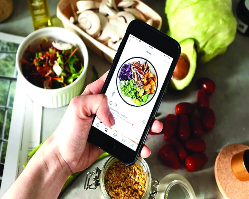 The labyrinth of social media nutrition trends