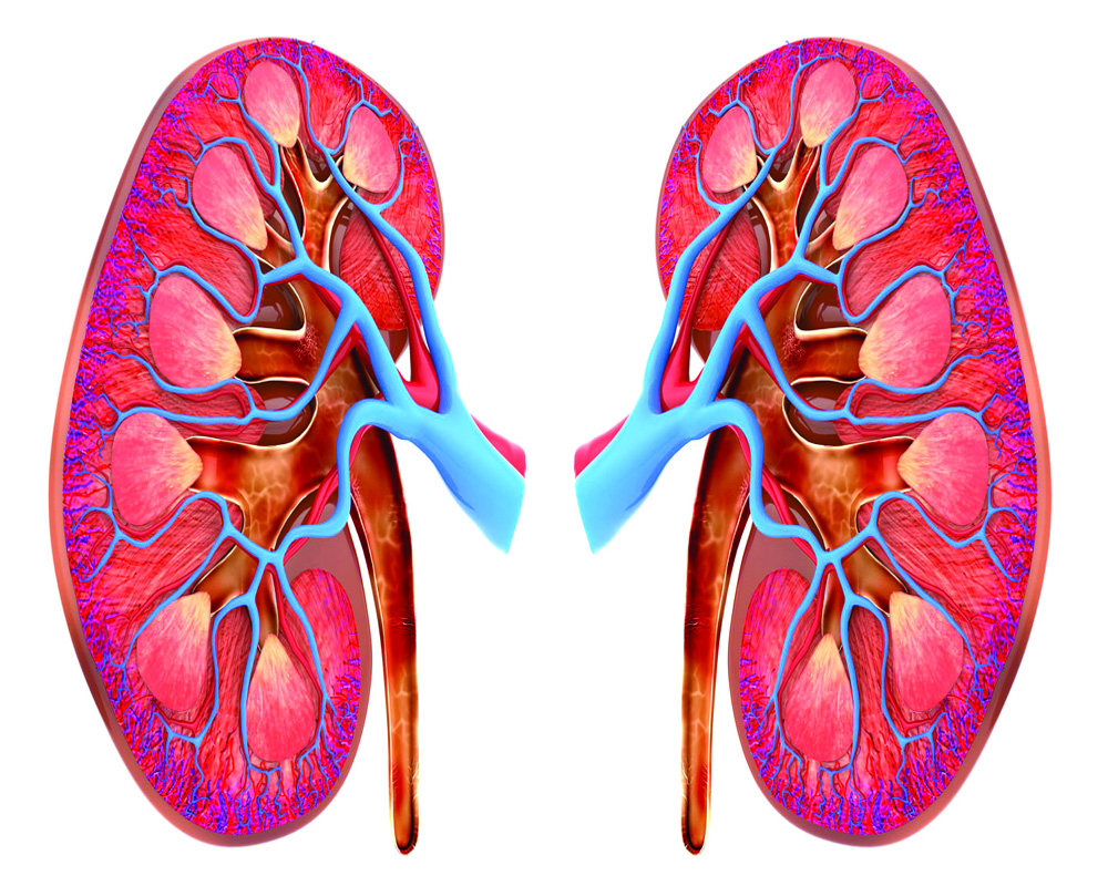 The Need for Early Detection and Prevention