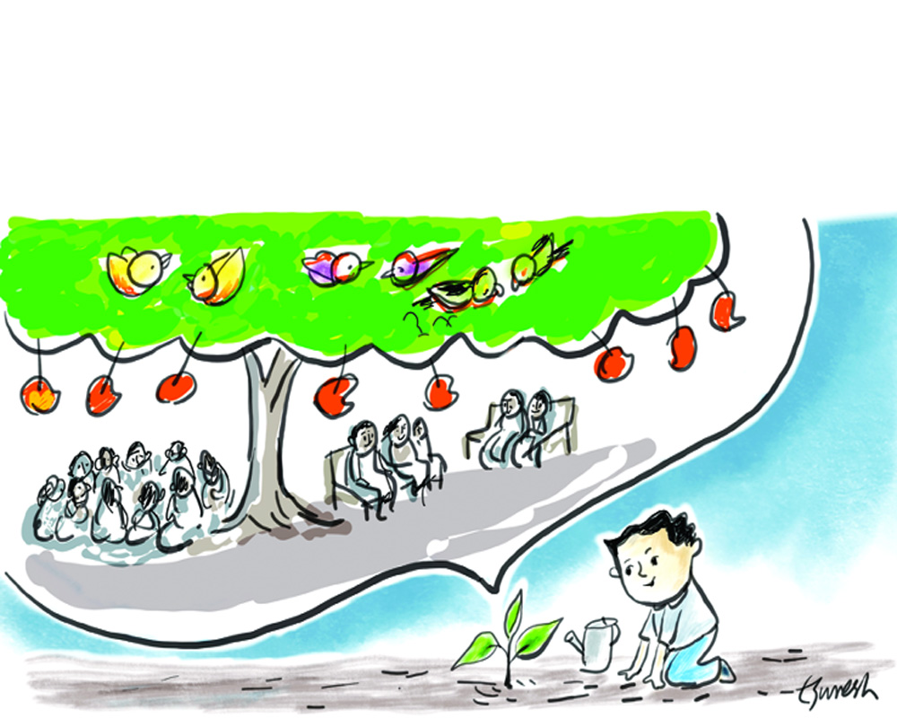 Van Mahotsav: Planting trees, protecting lives