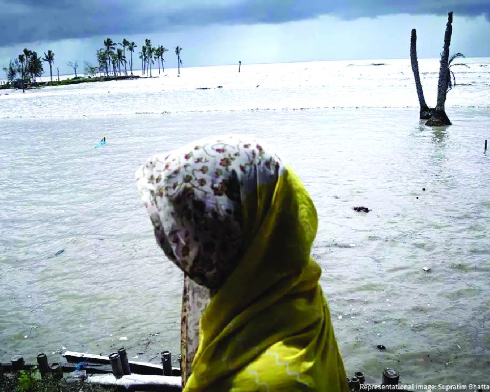 Women hit hard by climate crises: Study