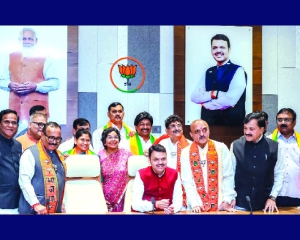 Congress must drop vote theft rhetoric: Fadnavis