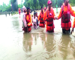 From reaction to resilience: Wake-up call on disaster preparedness