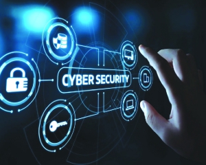 Indian companies consider cyber threats, data privacy as top risk agenda in 2025: Survey