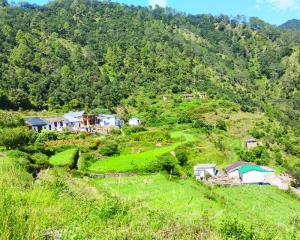 ND Tiwari’s legacy in shambles: Hometown still has no road, residents migrating