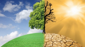 Technological empowerment of Women: The way forward for climate resilience