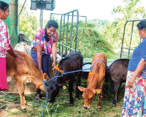 Women form majority of  Sri Lanka population