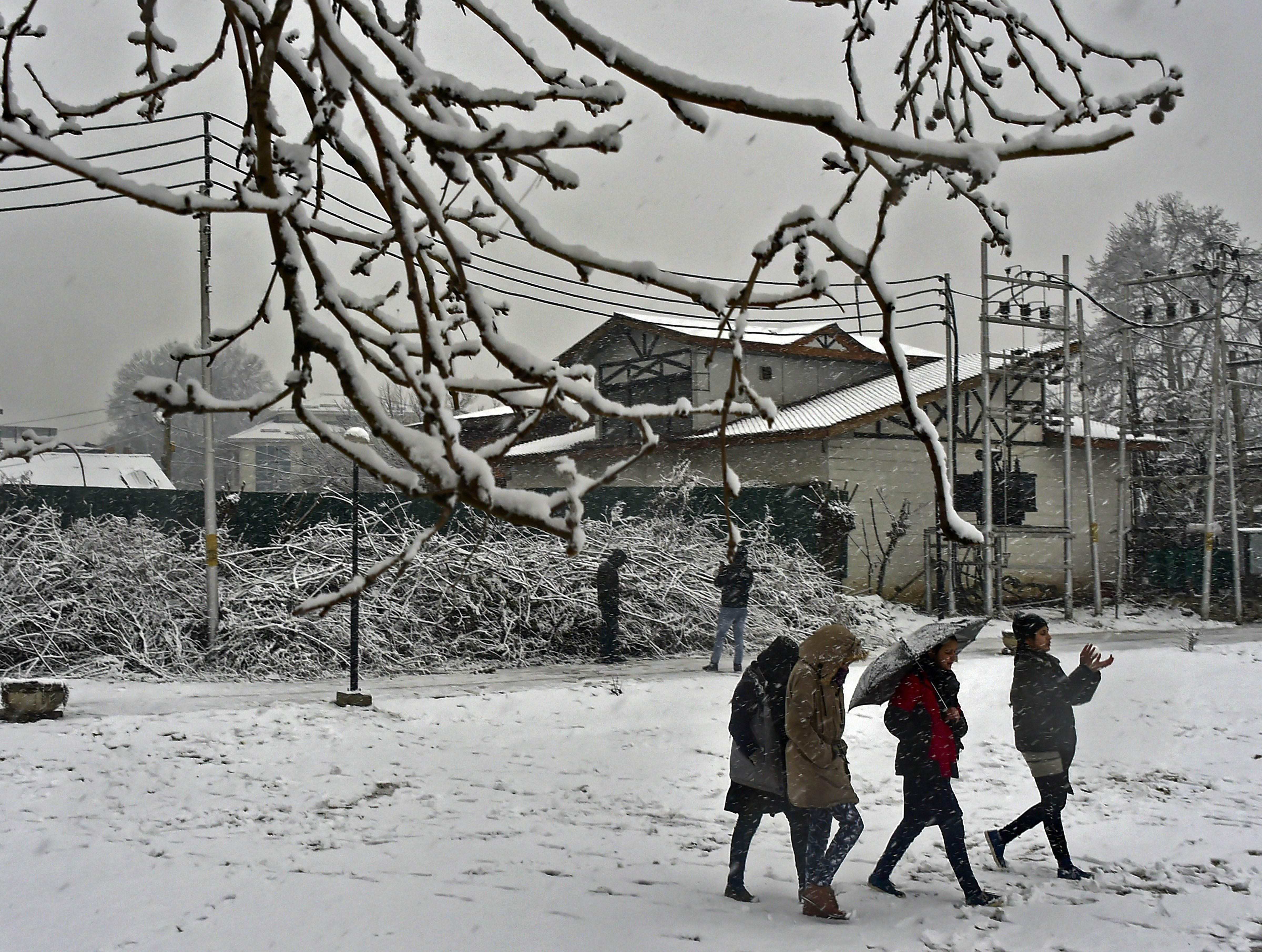 Women carrying umbrellas walk on a snow-covered field during snowfall, in Srinagar - PTI