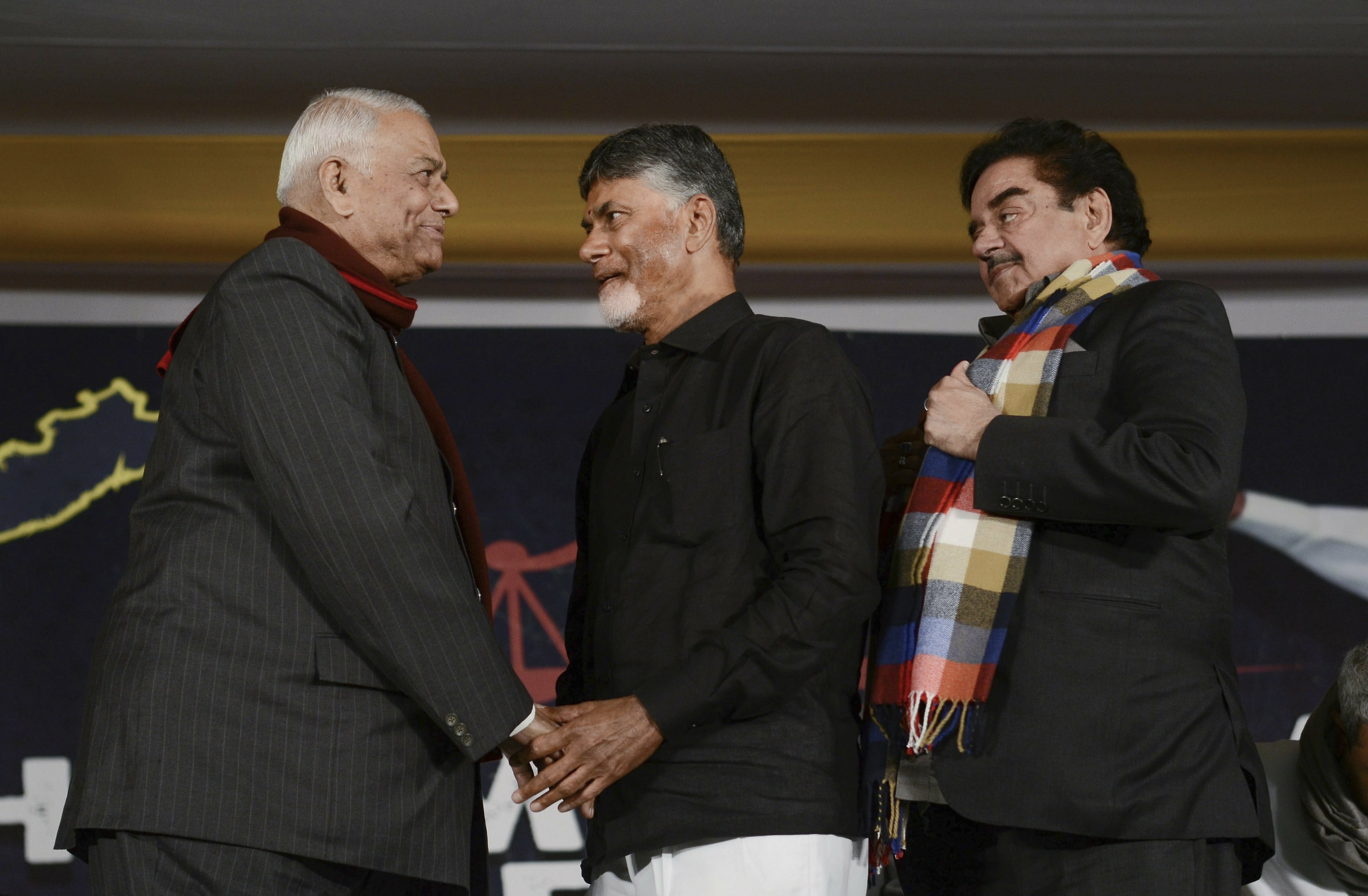 Former Union minister Yashwant Sinha and BJP MP Shatrughan Sinha extend their support to Andhra Pradesh Chief Minister Chandrababu Naidu during his day-long fast 'Dharma Porata Deeksha' demanding for the special status to the state of Andhra Pradesh, in New Delhi - PTI