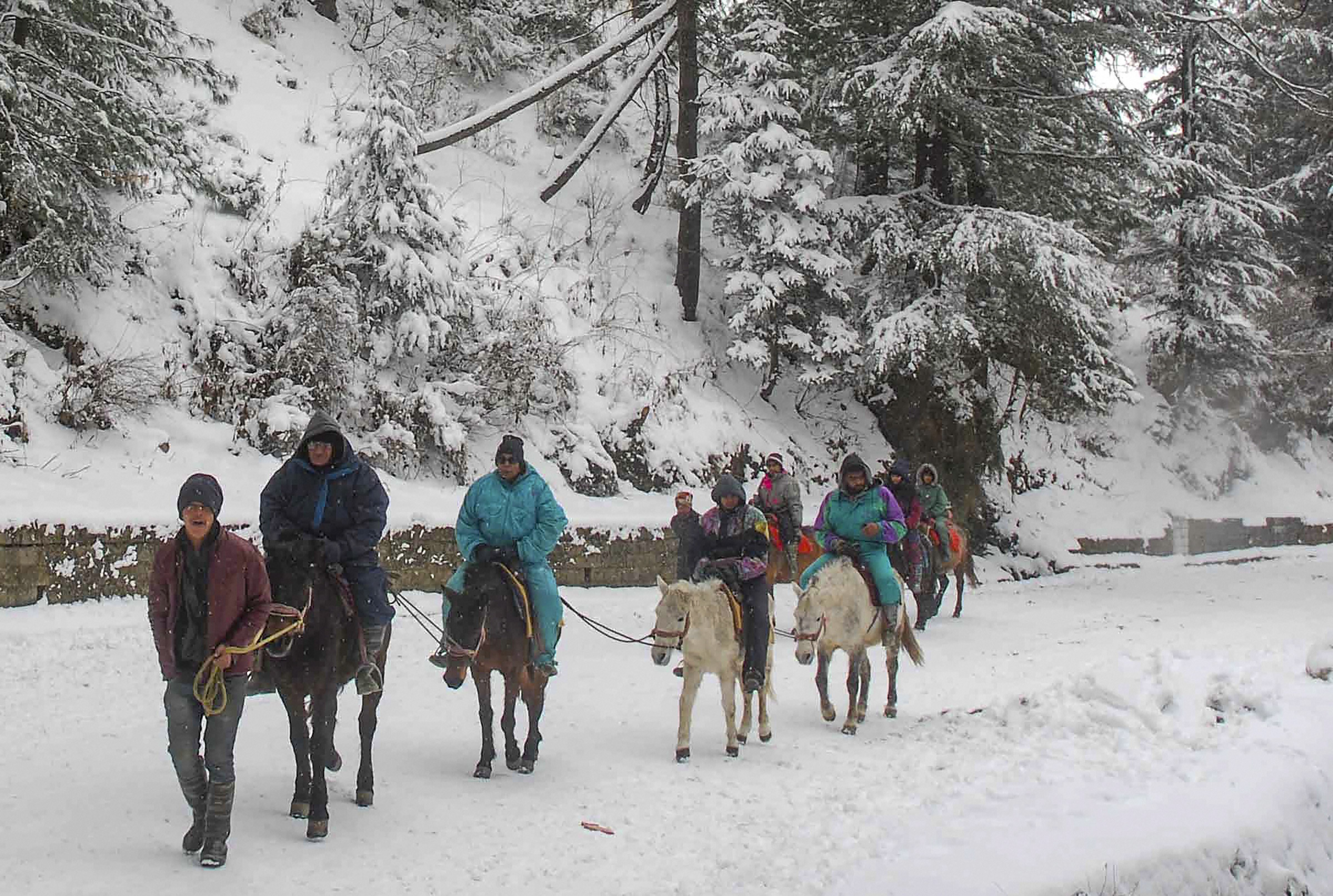 Tourists take a ride during snowfall, in Kufri near Shimla - PTI