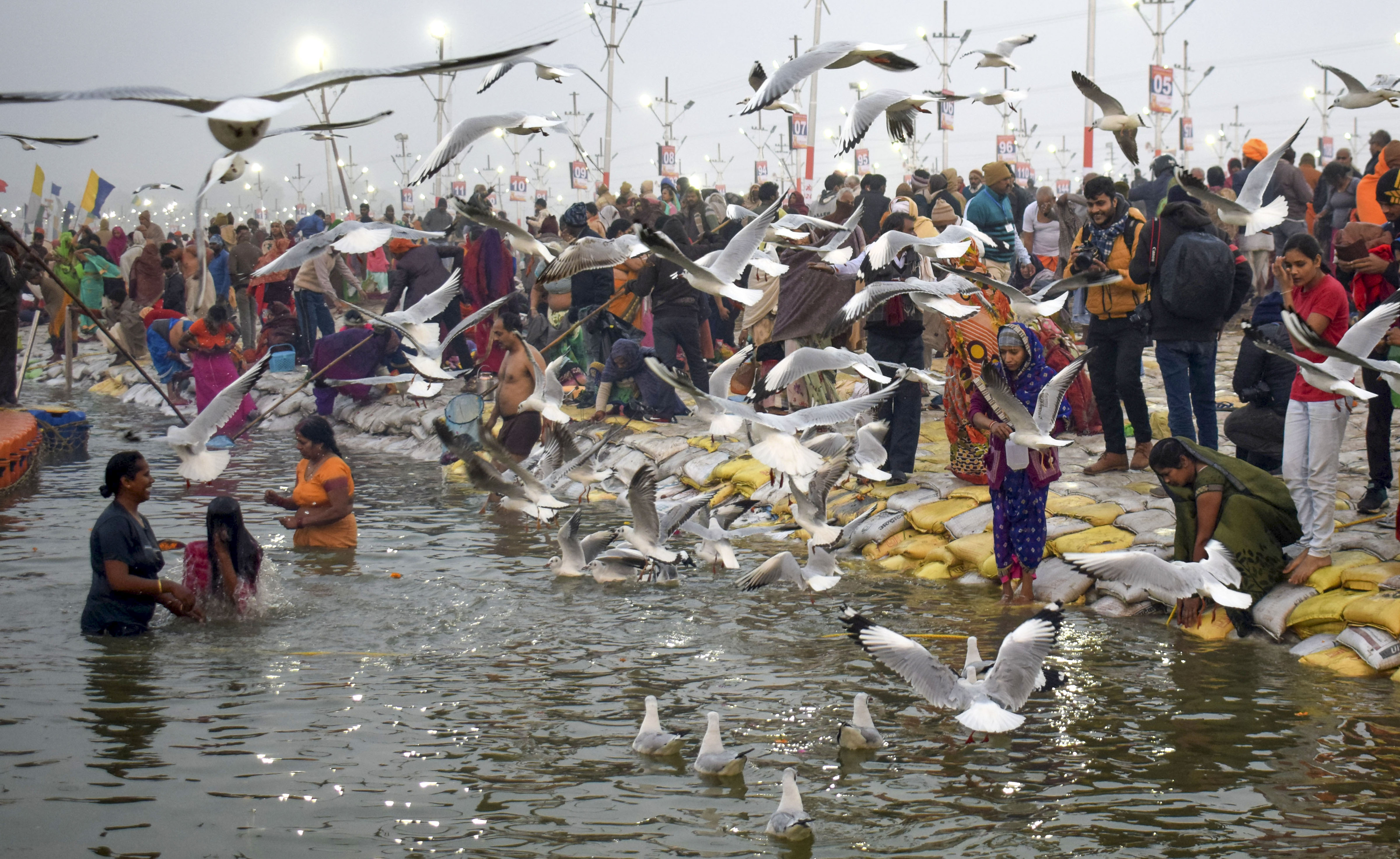 Devotees offer prayers on the banks of River Ganga as migratory birds fly, on the occasion of 'Paush Purnima' in Prayagraj (Allahabad) - PTI