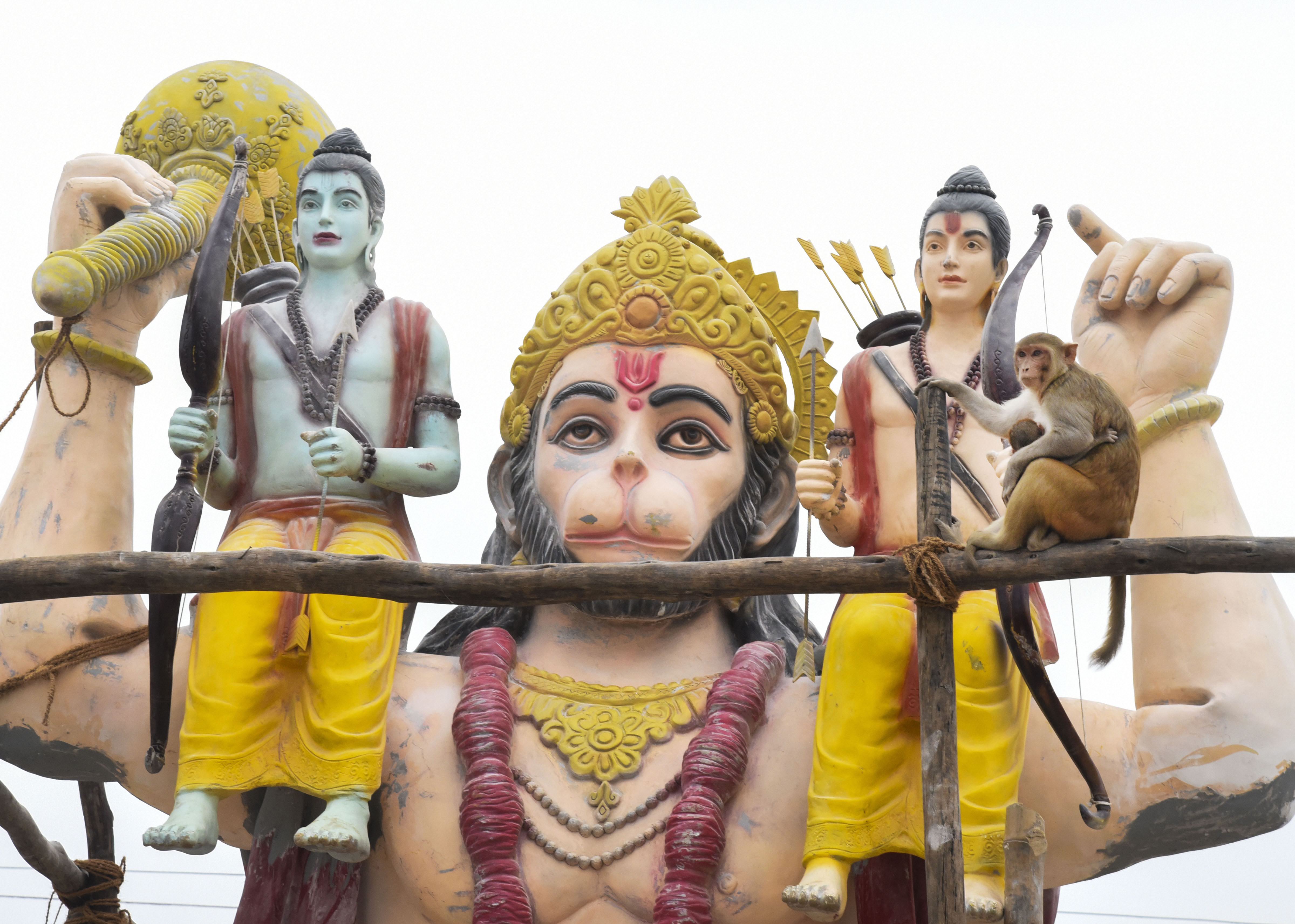 A monkey sits on a scaffolding used in an under-construction statue of Lord Hanuman with Lord Ram and Lord Laxman sitting on his shoulder, at the bank of river Saryu ahead of 'Deepotsav' festival, in Ayodhya - PTI