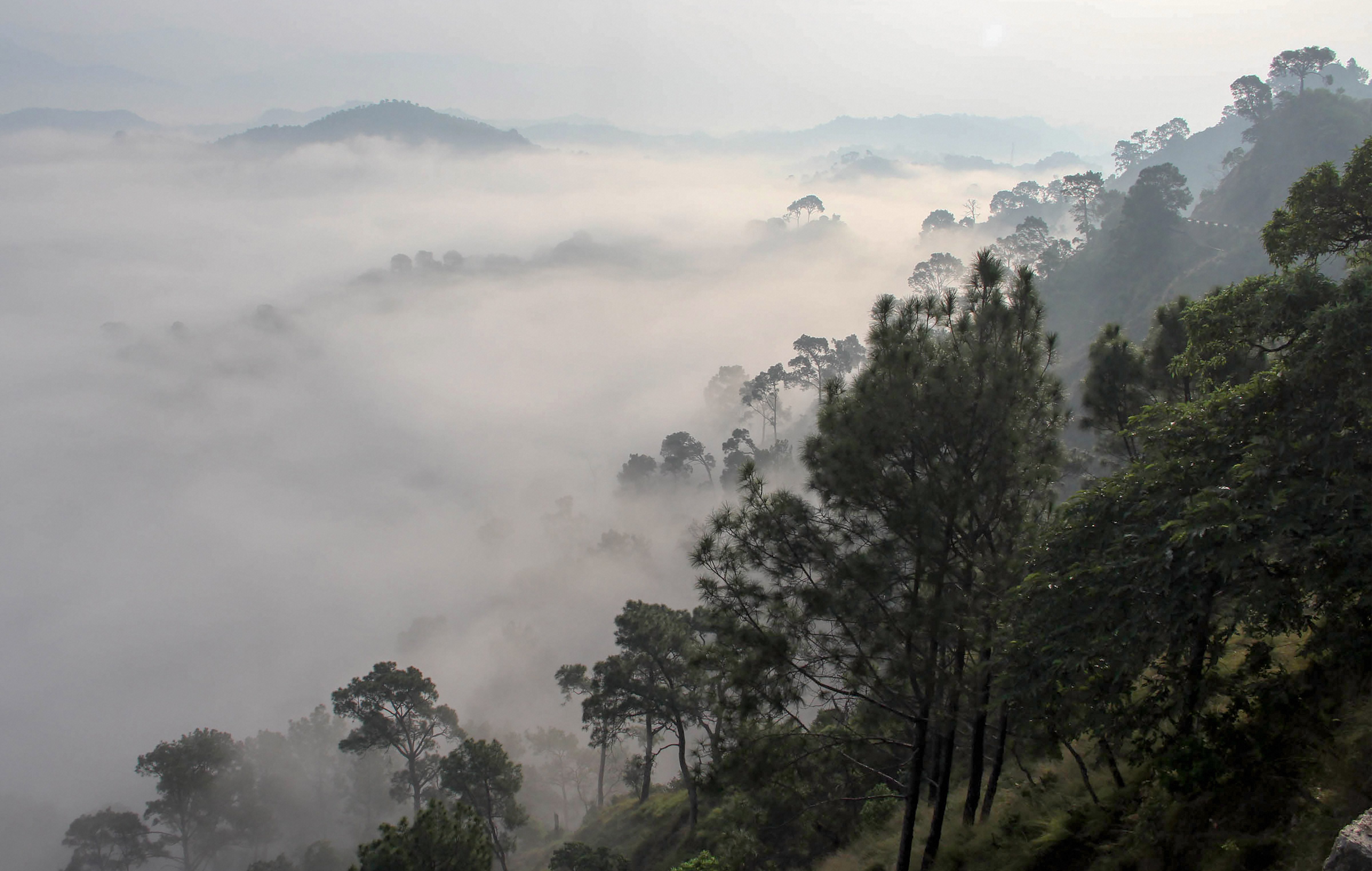 Fog envelops the mountain ranges on a cold winter morning, on the outskirts of Jammu - PTI
